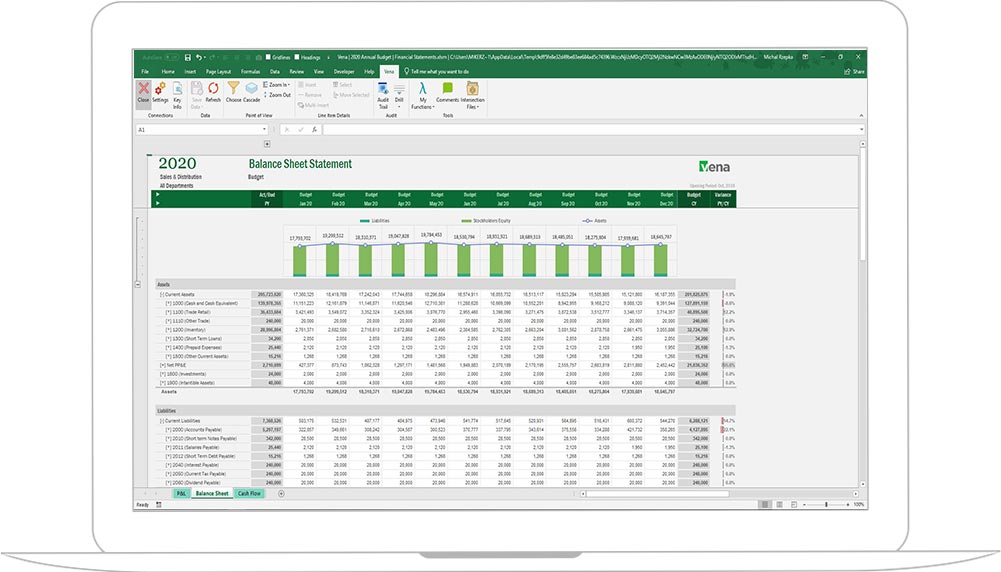 Screenshot of Vena Financial Reporting